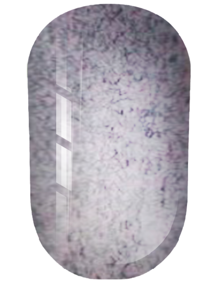 Gel Polish Nr.156 von Trendy Nails (8ml)