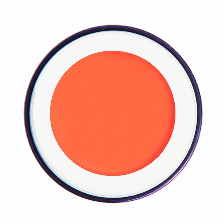 Nailart Farbgel (ohne Schwitzschicht) "Sunny Orange"