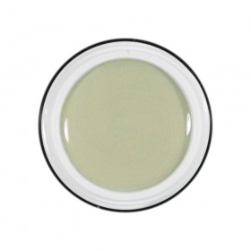 Farbgel von Mr. Stilett "Pistazien Green" 5ml